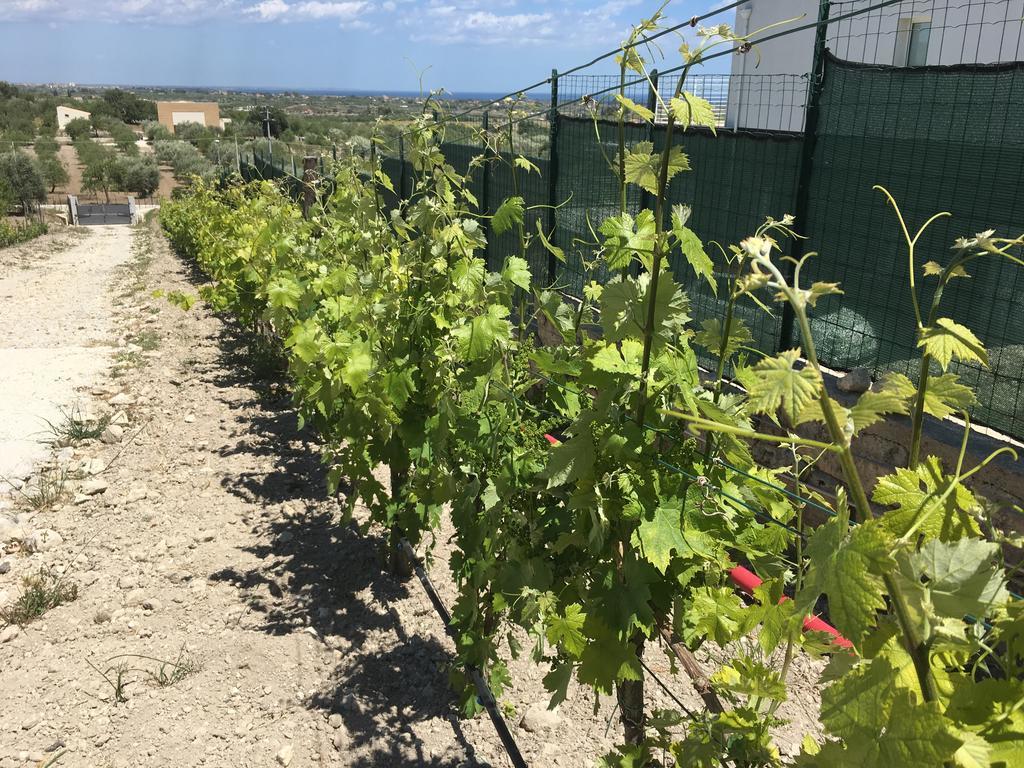 Agriturismoeloropizzuta Lido di Noto 외부 사진